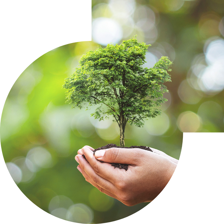 关怀人类、文化、环境与社会